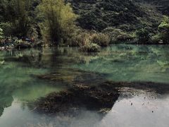 -靖西鹅泉风景区