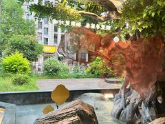 -院里寻菜·精致庭院菜(观沙岭店)