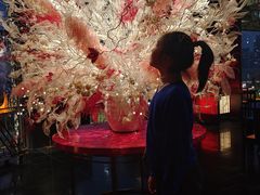 -上海滩餐厅(BFC外滩金融中心店)
