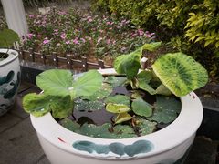 -金山公园