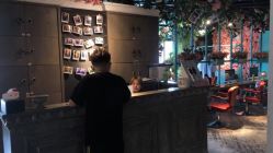 点击看大图 -金棕榈