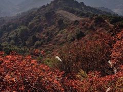 -狼牙山风景区
