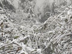 -九峰山