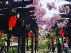 -晋祠公园