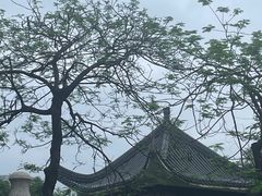 -飞来湖湿地公园