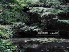 -虎跑公园