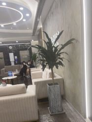 -上海首尔丽格医疗美容医院