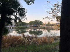 -新江湾城公园
