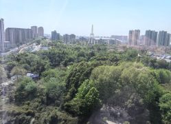 -诗安嘉康月子中心(金阳店)