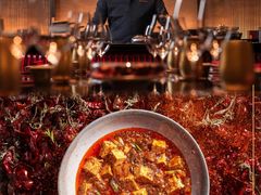 -新加坡乌节希尔顿酒店 (SG Clean)