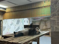 -无锡动物园·太湖欢乐园