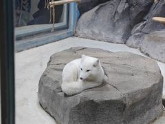 -海合安青岛极地海洋公园