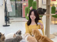 -喵园·猫主题咖啡厅·撸猫·猫咖(国贸店)