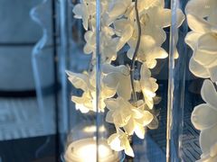 -成都尼依格罗酒店