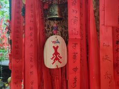 -呀诺达热带雨林