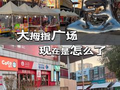 -证大大拇指广场(芳甸路店)