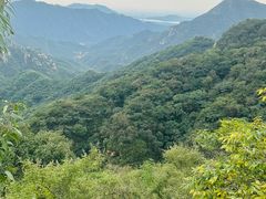 -大岭沟猕猴桃谷风景区