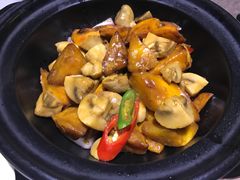 -青叶202都市餐厅(迪诺水镇店)