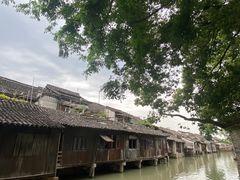 -乌镇东栅景区