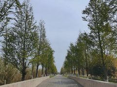 -滆湖低碳生态公园