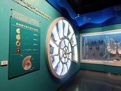 -国家自然博物馆