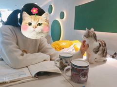-飞行喵MR PILOT|猫舍·猫咖(静安大融城店)