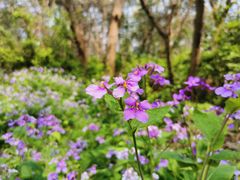 -西湖风景区-江洋畈生态公园