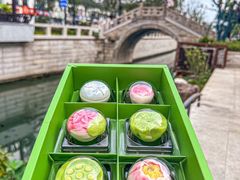 -稻香村(观前街店)