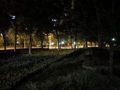 -南翔镇银翔湖公园
