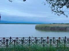 -野鸭湖国家湿地公园