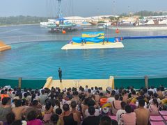 -秦皇岛乐岛海洋王国