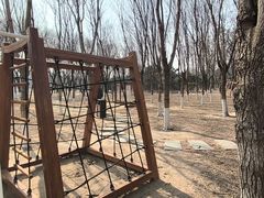 -大兴滨河森林公园