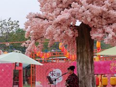 -盈香心动乐园