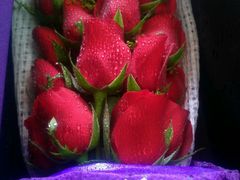 android_upload_pic-壹号鲜花店(苍南灵溪河滨东路店)