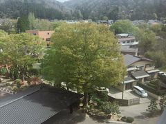 -岩沼屋