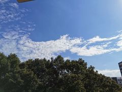 -螺世纪螺蛳粉·桂味小排档(裕德店)