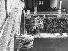 -龙潭水乡
