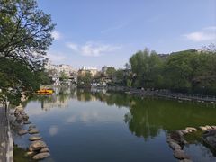 -莲湖公园