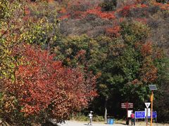 -北京西山国家森林公园