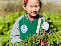 -童晟智教幼儿园(鸿城园店)