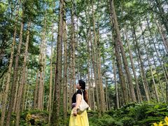 -洛阳白云山景区