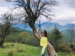 -硗碛藏寨·神木垒景区