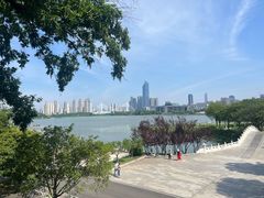 -古琴台