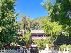 -潭柘寺景区