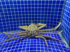 -一江春水·杭帮臻宴(三台山店)