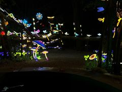 -台山颐和温泉城