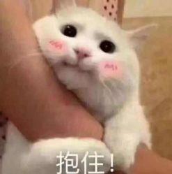 -GT潮朴美业