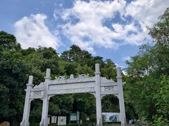 -羚羊峡古栈道森林公园