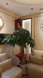 -茜尔维亚修身连锁(杨浦五角场店)