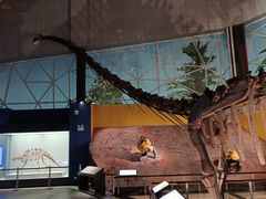 -湖南省地质博物馆